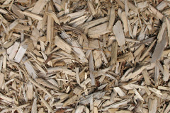biomass boilers Balchladich